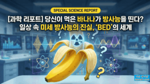 바나나에도 방사능이 bed로 보는 일상 속 방사선