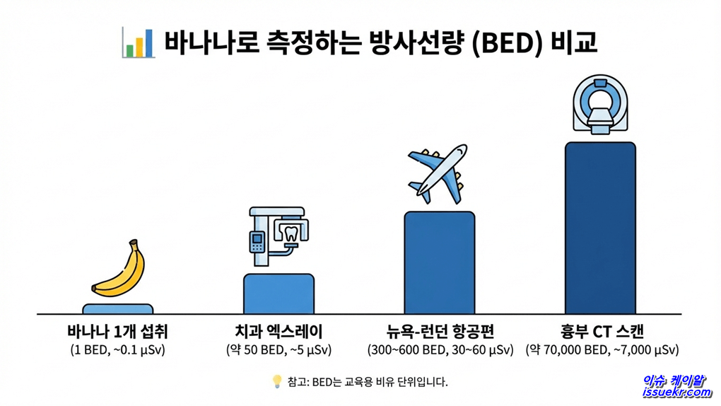 바나나에도 방사능이 bed로 보는 일상 속 방사선 b
