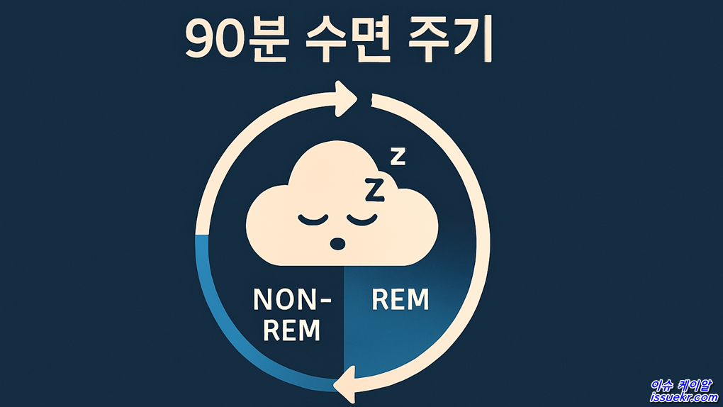 수면 사이클 90분의 리듬 c
