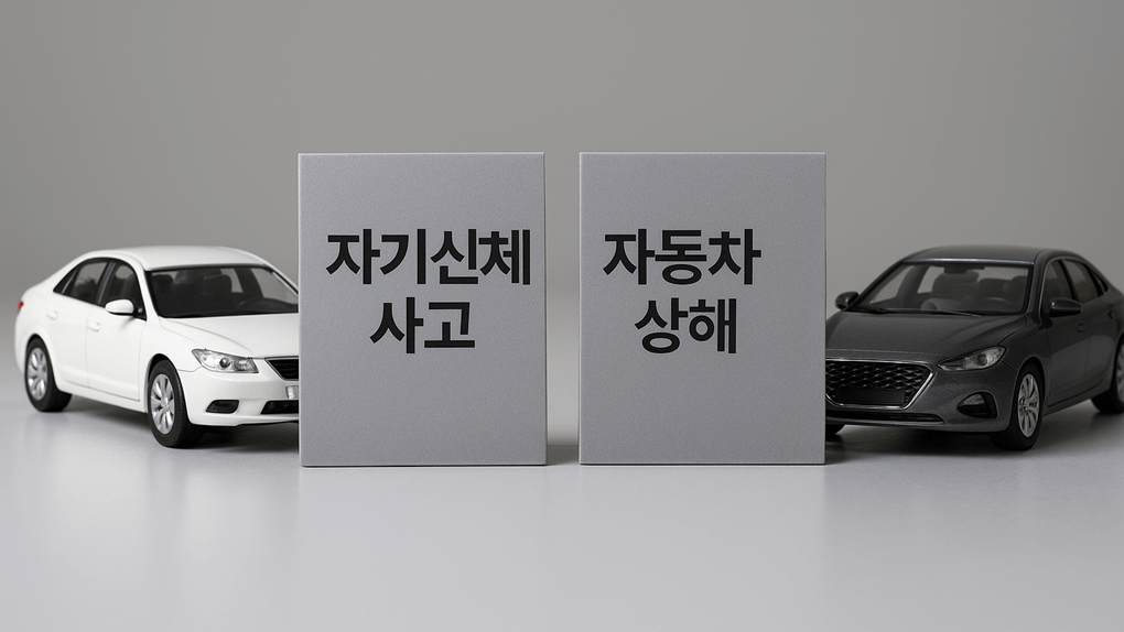자기신체사고와 자동차상해 b