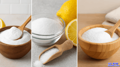 천연 세제 3총사 베이킹소다·구연산·과탄산소다 활용법